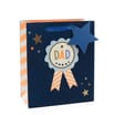 Small Dad Gift Bag
