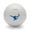 Panini Team Football - Size 5