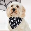 My Pets Halloween Pet Bandana - Ghost