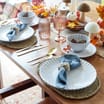 The Lifestyle Edit Harvest Scallop Edge Dinnerware Set