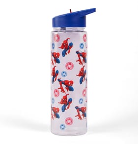 Marvel Avengers Water Bottle