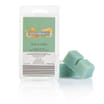 Wickford & Co Wax Melts 8 Pack - Sage & Citrus x2
