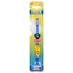 Firefly Lightup Timer Toothbrush