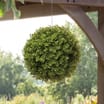 Jardin Eucalyptus Ball 30cm