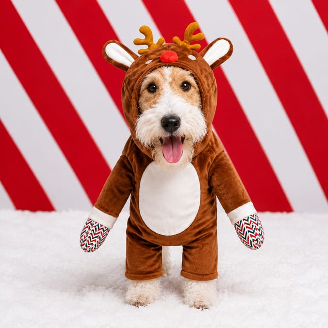Chester's Dog Christmas Costume