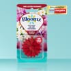  Bloomz Car Air Freshener - Jasmine & Saffron