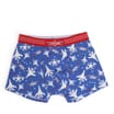 Top Gun Men's Trunks