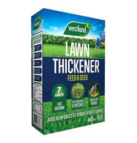 Westland Lawn Thickener 80m2 2.56kg