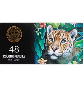 Colvin & Co 48 Colouring Pencils