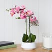 Home Collections Artificial Orchid White Ceramic Pot