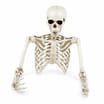 Hallow Scream Skeleton Ground Breaker Decoration