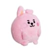BT21 Pong Pong Plush - Baby Cooky