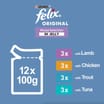 Felix Original 7+ Mixed Selection in Jelly Wet Cat Food 12 x 100g
