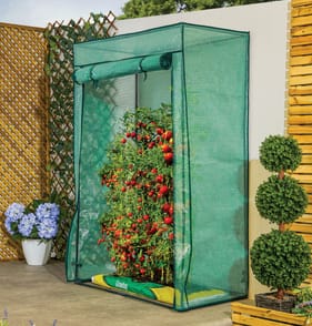 Jardin Tomato Greenhouse