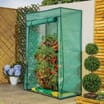 Jardin Tomato Greenhouse