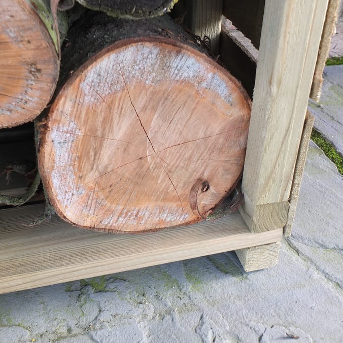 Home bargains log holder hotsell