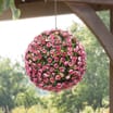 Jardin Topiary Rose Ball