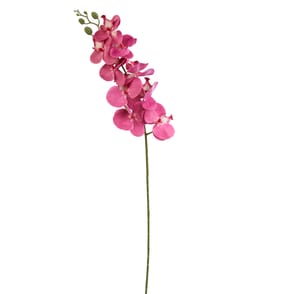 Home Collections Butterfly Orchid Pick - Dark Pink