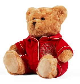 The Polar Express Plush Bear In Pjs