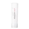 Sebastian Professional Hair Bundle