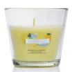 Wickford & Co Scented Candle 5oz - Frozen Lemonade 