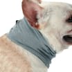 Pets Cooling Bandana