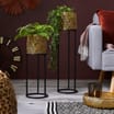 Ports Of Call by Jeff Banks Metal Planters Set