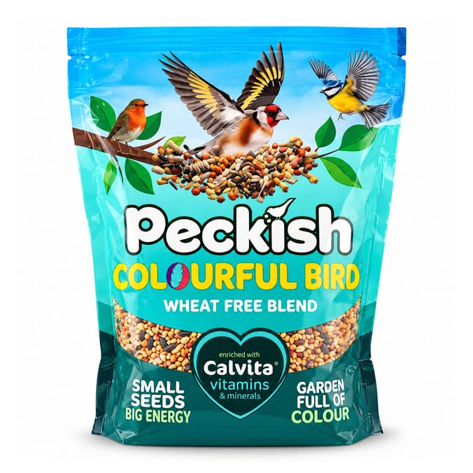Peckish Bird Seed Mix Colourful 1kg