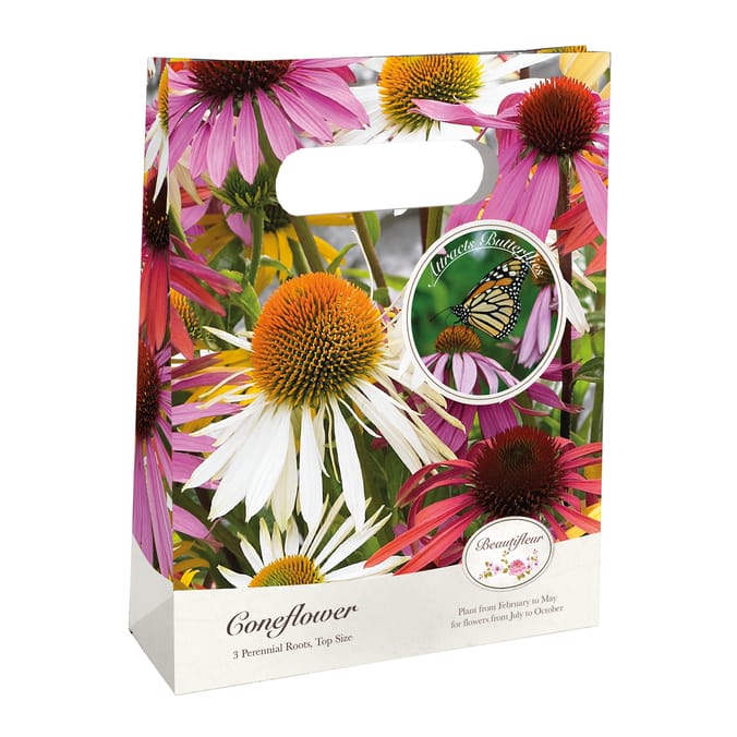 Beautifleur Perennial Tent Bag - Coneflower