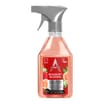 Astonish Ready to Use Disinfectant 550ml - Bouquet Blooms
