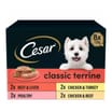 Cesar Classics Wet Dog Food Terrine Mixed Selection 8 x 150g