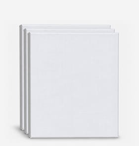 Colvin & Co Artists 30x25cm Canvas 3 Pack