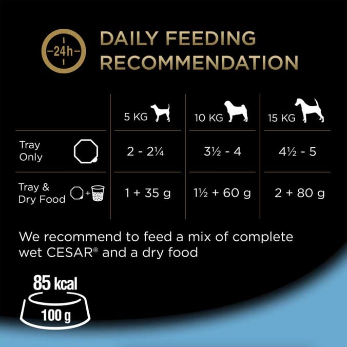 Cesar Senior 10+ Wet Dog Food In Delicate Jelly 8 x 150g