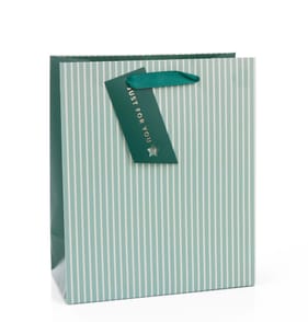 Green Stripe Gift Bag