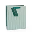 Green Stripe Gift Bag