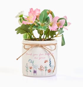 Someone Special Artificial Flower Pot 