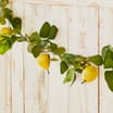 The Outdoor Edit Mediterranean Artificial Pear Garland