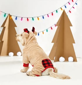 Festive Paws Pet Costume - Reindeer