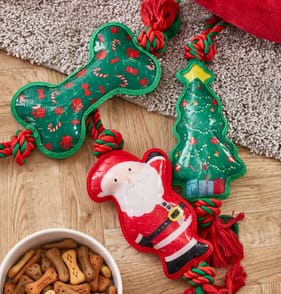 Festive Paws Christmas Pet Toy With Rope