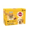 Pedigree Puppy Mixed Selection with Rice in Jelly Dog Food Pouches 12 x 100g