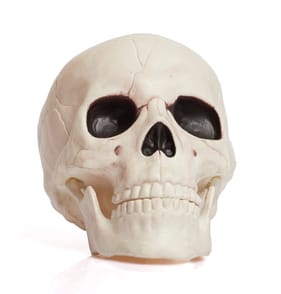 Haunted House Moving Jaw Skull
