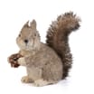 Winter Charm Sitting Squirrel Plush