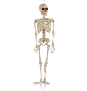 Haunted House Light Up Hanging Skeleton