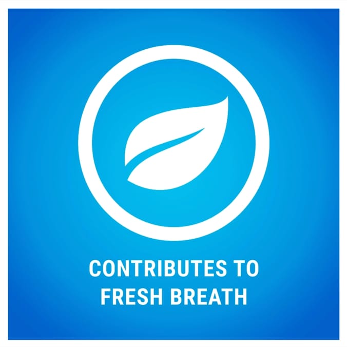 Dentalife Small Dog Treat Dental Chew 3 x 21 Stick Pack