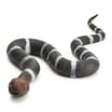 Zappi Co. Snake Squad Toy 60cm - Bandy Bandy Snake