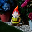 Firefly Solar Light Co Digital Eyes Gnome Solar Light