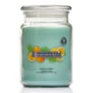 Wickford & Co Scented Candle Sage & Citrus