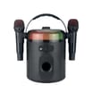 Equatech Wireless Karaoke Speaker With 2 Microphones
