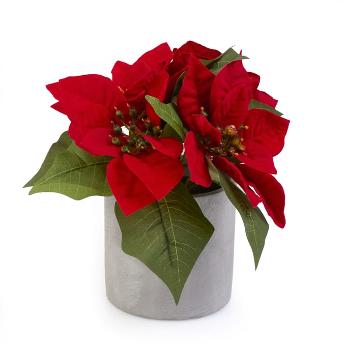 Festive Feeling Christmas Potted Foliage - Grey