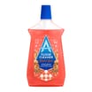 Astonish Floor Cleaner 1L - Winter Spice